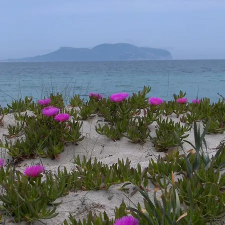 Apartmán Casa Marina Maria