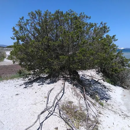 Casa Marina Maria Apartmán