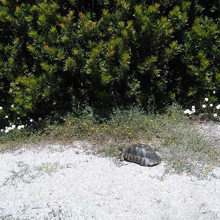 Casa Marina Maria Apartmán