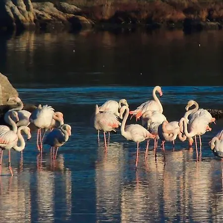 Lejlighed Casa Marina Maria