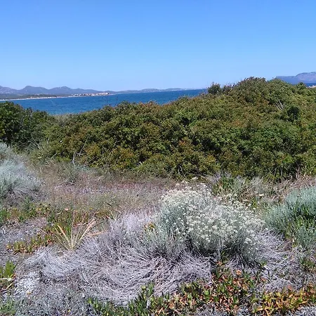 Casa Marina Maria Lejlighed *