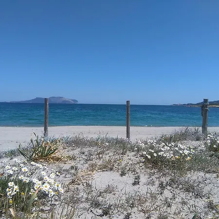 Lejlighed Casa Marina Maria Murta Maria