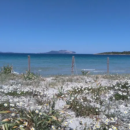 Casa Marina Maria Apartment Murta Maria