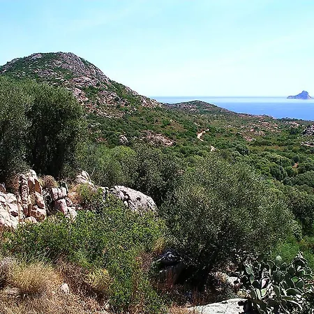 Lejlighed Casa Marina Maria *