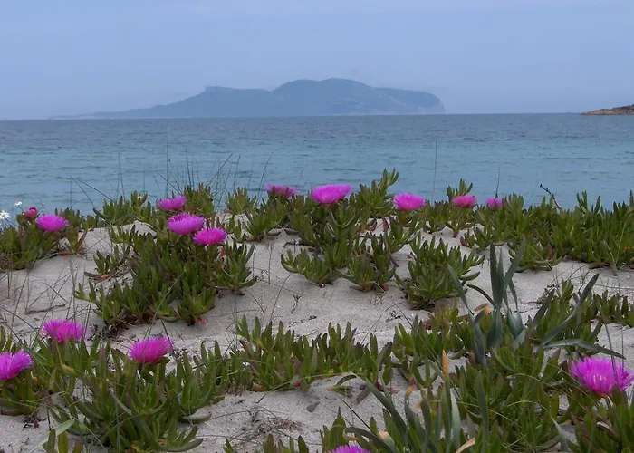 Daire Casa Marina Maria