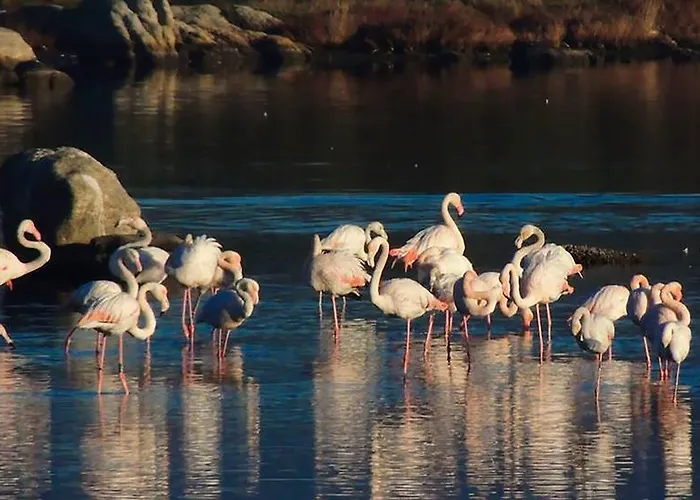 Daire Casa Marina Maria