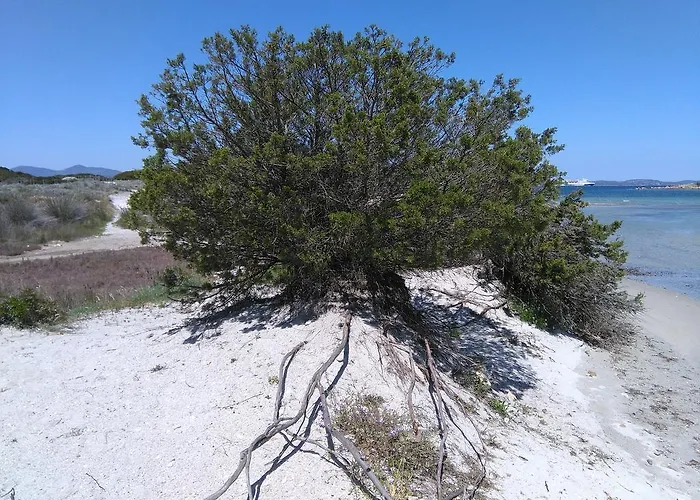 Casa Marina Maria Daire