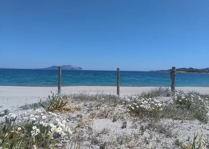 Daire Casa Marina Maria Murta Maria