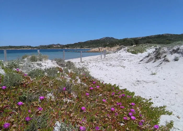 Daire Casa Marina Maria