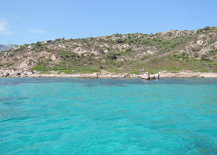 Casa Marina Maria Daire *